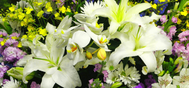 一流のサービス