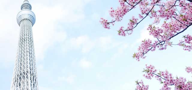 一流のサービス