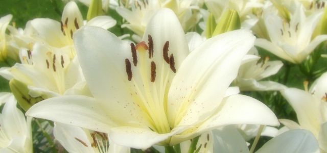 一流のサービス